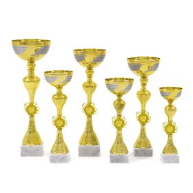 Sportserleg 4.1622 – Arany-ezüst, több méretben