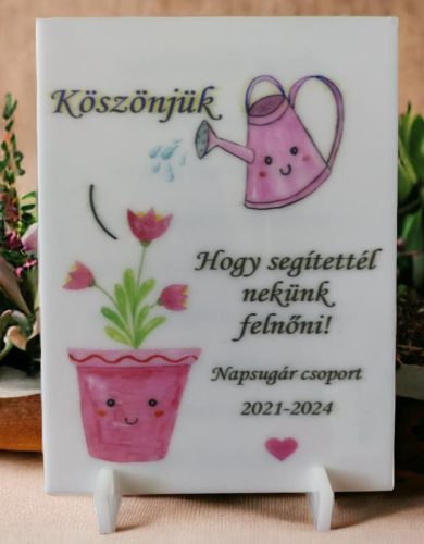 Ovis ballagási plakett