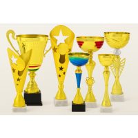 Gravírozott sportserlegek