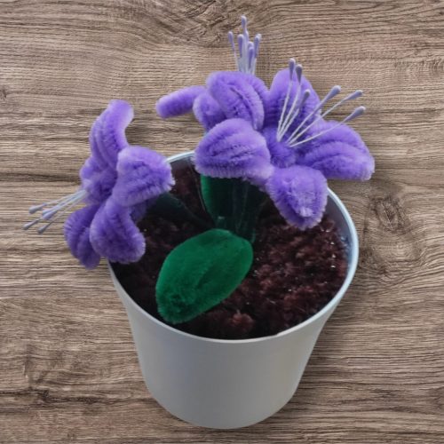 Zseniliaszal liliom virág